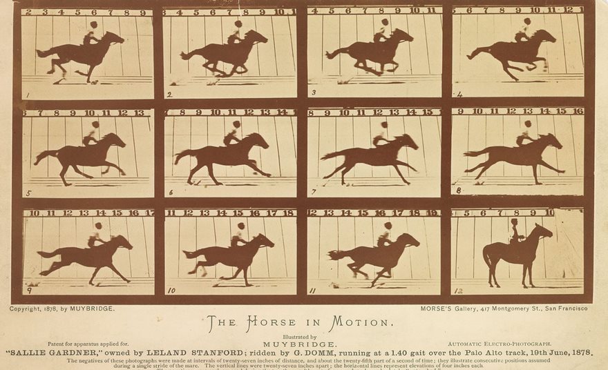 Famous historical photo by Muybridge, "The Horse in Motion," capturing sequential images of a galloping horse.