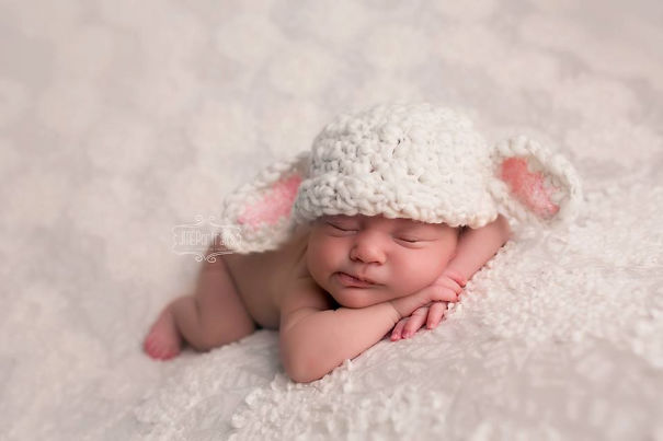 Lamb Hat