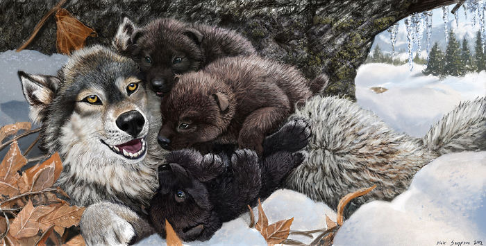 Realistic-animal-drawings-psithyrus-blair-sampson