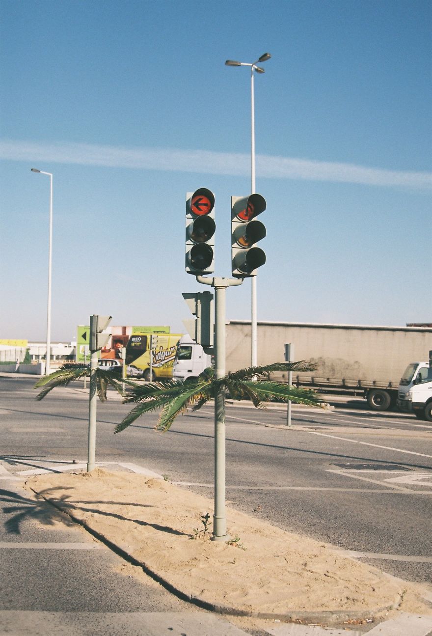 Street Artist Brings Nature Back To Cities