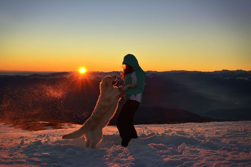 I Travel Romania With My Golden Retriever Geena Who Is The Best Travel Companion I Travel Romania With My Golden Retriever Geena Who Is The Best Travel Companion