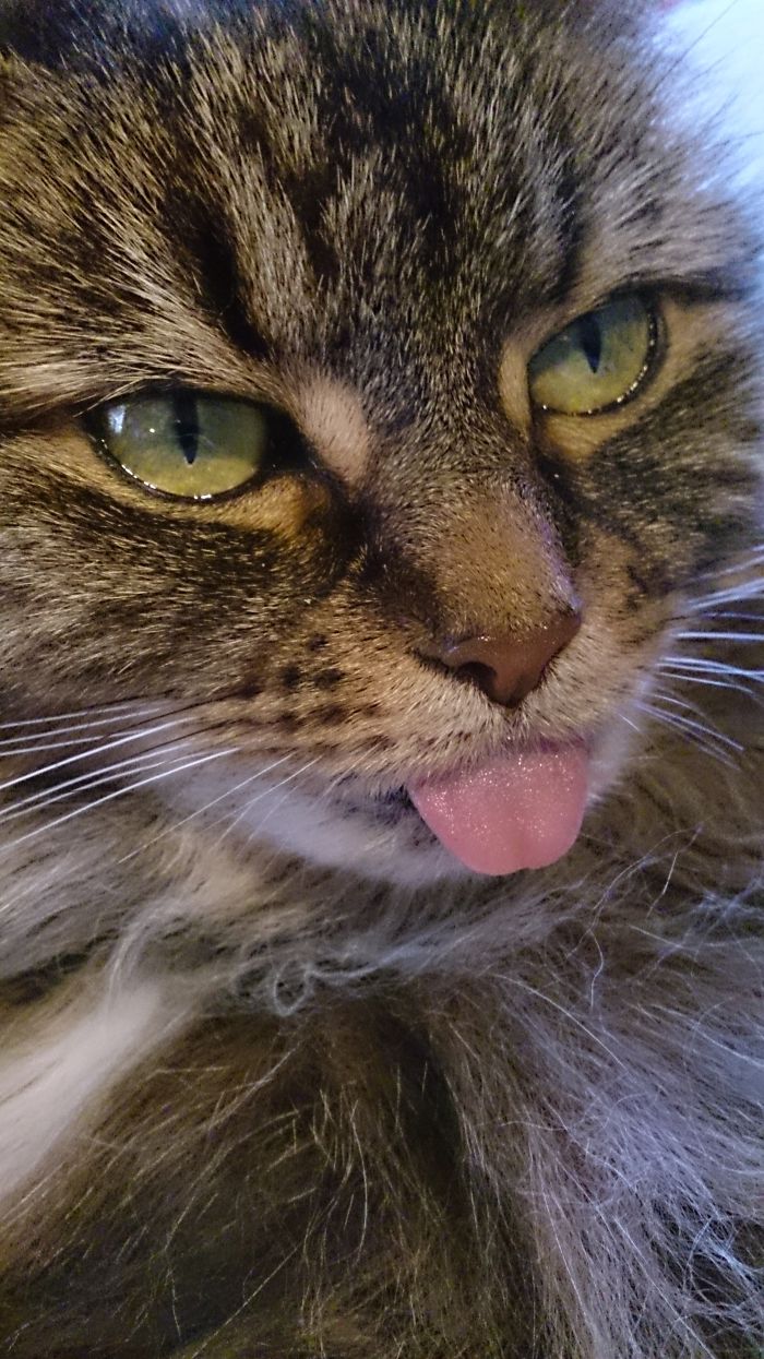 Holly Before And After Being Told She's A Good Girl.