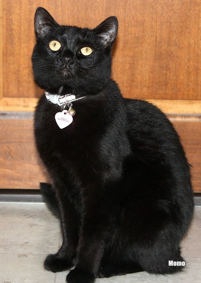 Before Nd After Being Called A Good Girl