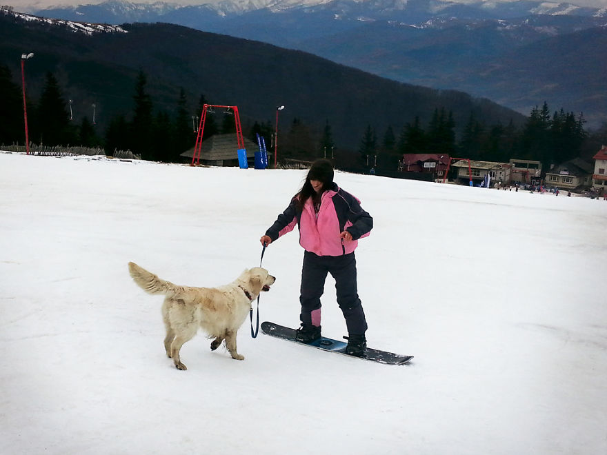 I Travel Romania With My Golden Retriever Geena Who Is The Best Travel Companion I Travel Romania With My Golden Retriever Geena Who Is The Best Travel Companion
