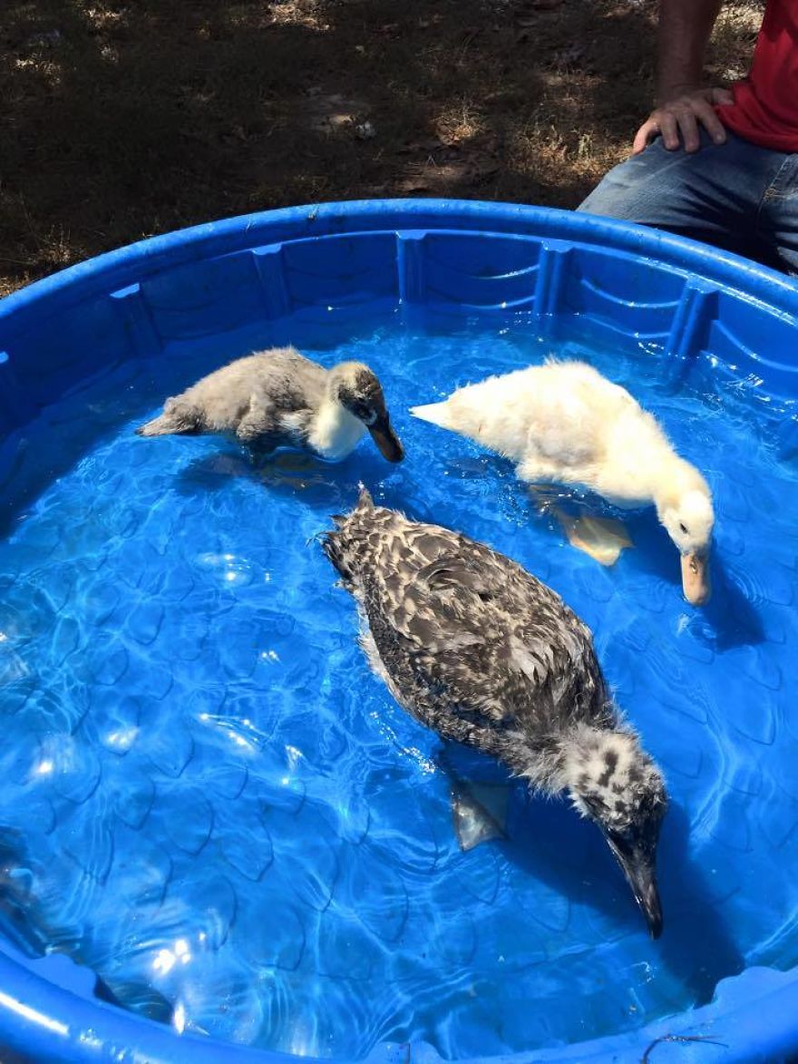 I Rescue Exotic Animal Species I Rescue Exotic Animal Species