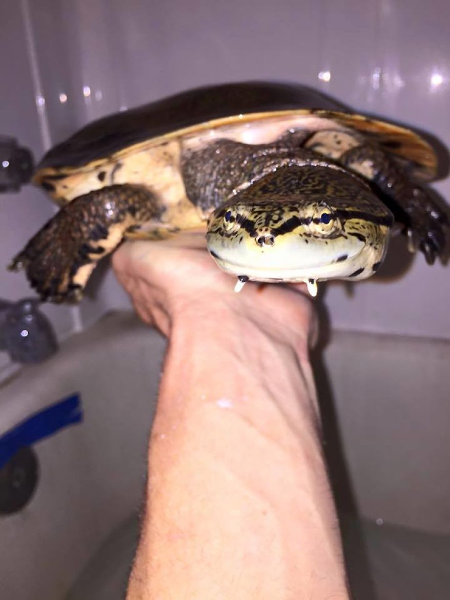 I Rescue Exotic Animal Species I Rescue Exotic Animal Species