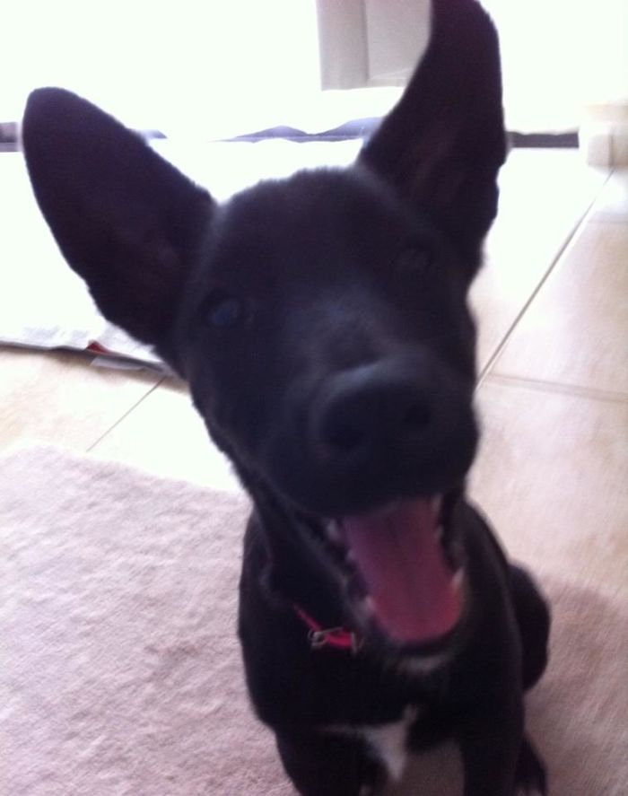 Violetta Is A Very Beautiful And Good Girl..!