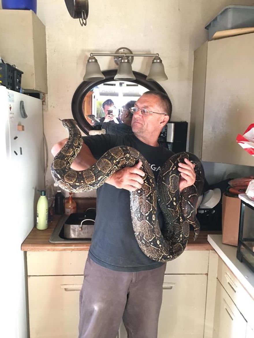 I Rescue Exotic Animal Species