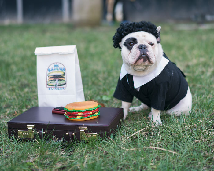 My Dog Looks Exactly Like The Bored Panda Logo