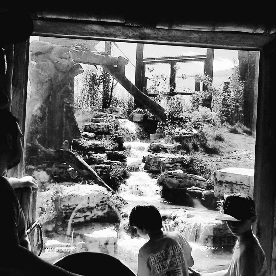 Some Of My Best Water Based Photography