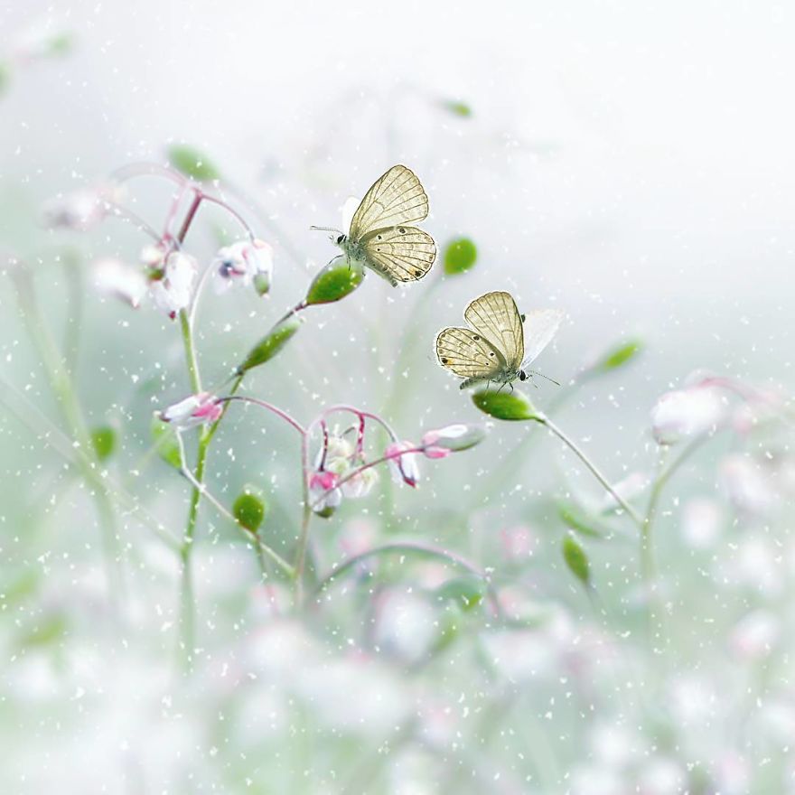 The-magical-macro-world