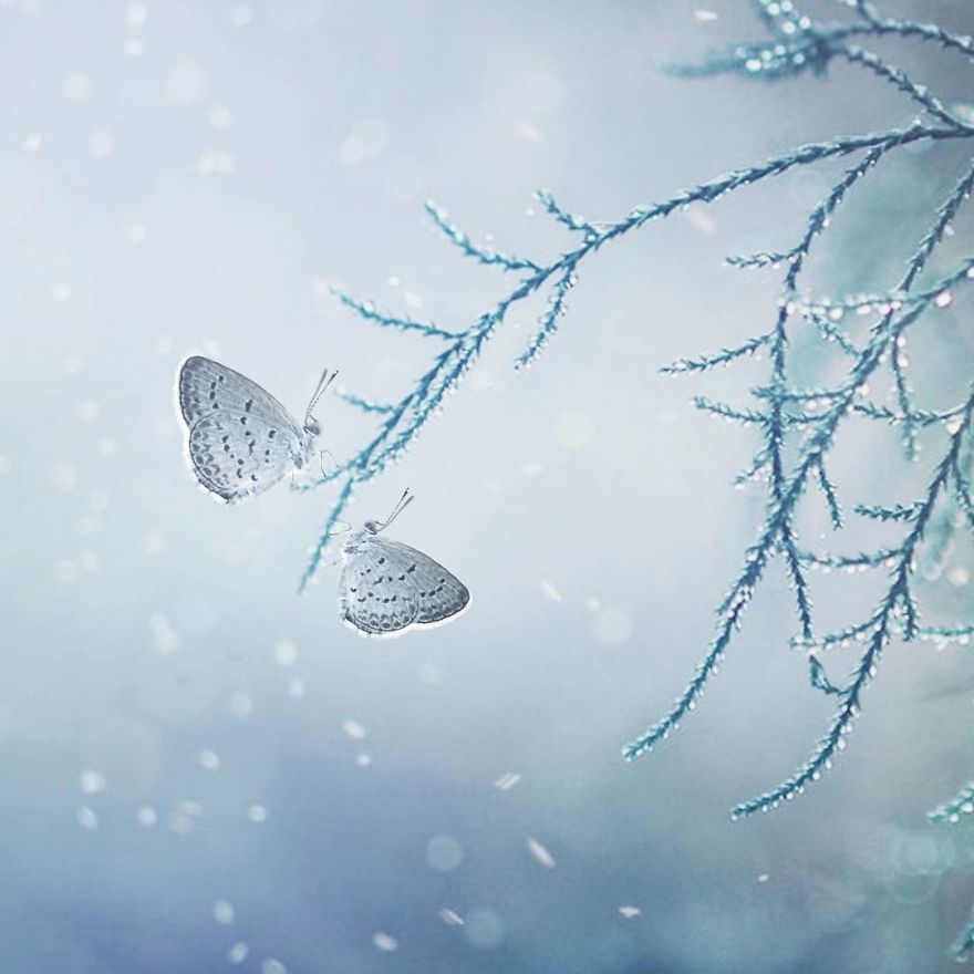 The-magical-macro-world