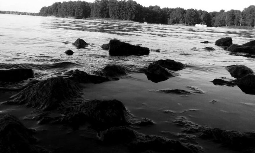 Some Of My Best Water Based Photography