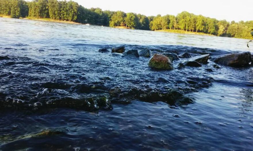 Some Of My Best Water Based Photography