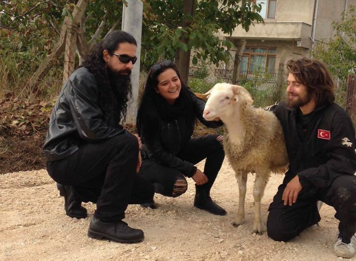 Meet Gökçer Korkmaz, The Bighearted Volunteer Who Is Living With 500+ Animals