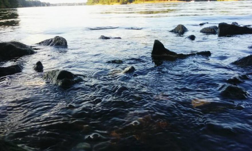 Some Of My Best Water Based Photography