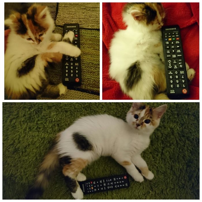 "how To Lessen Tv Controler"