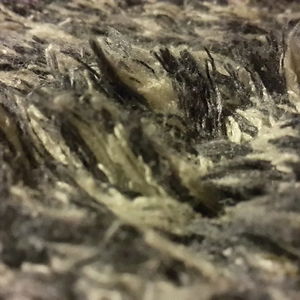 unglossedmedia avatar