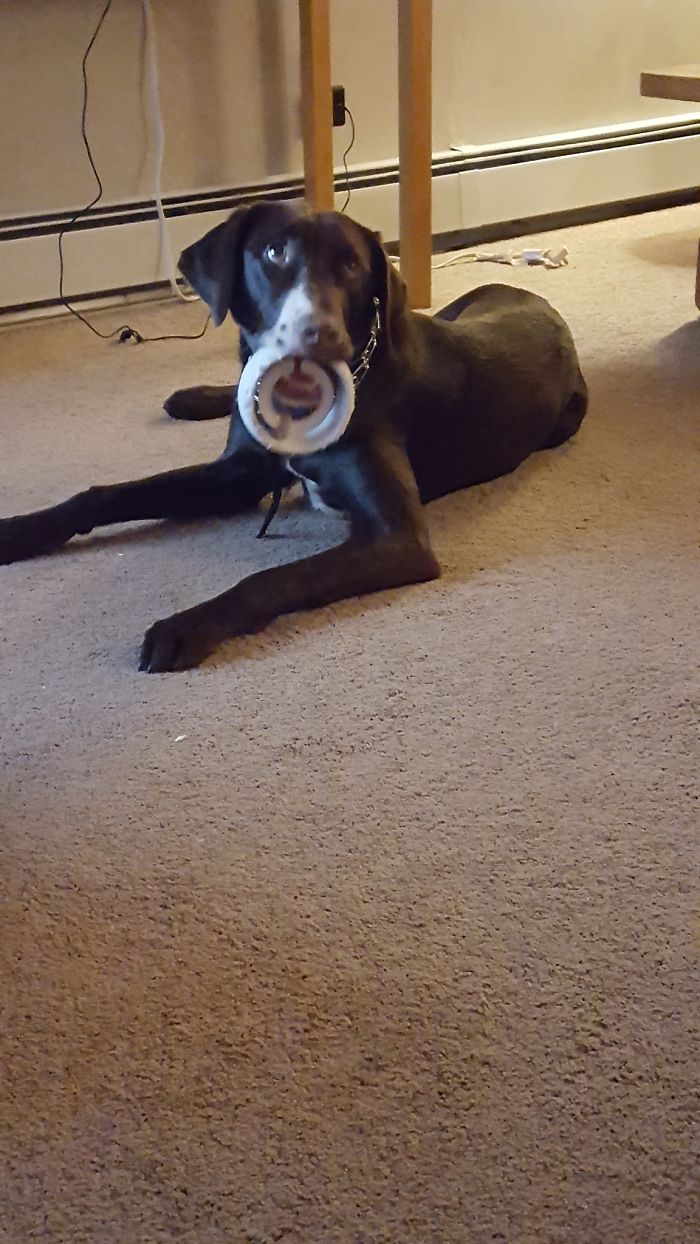 When Dad Says You're A Good Boy.