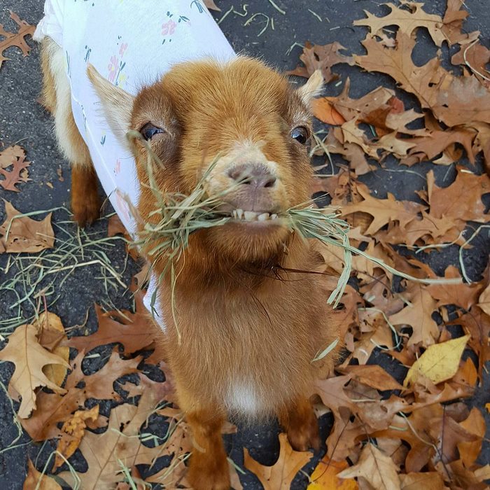 15056669_350102355344611_9002187324259303424_n 15056669_350102355344611_9002187324259303424_n