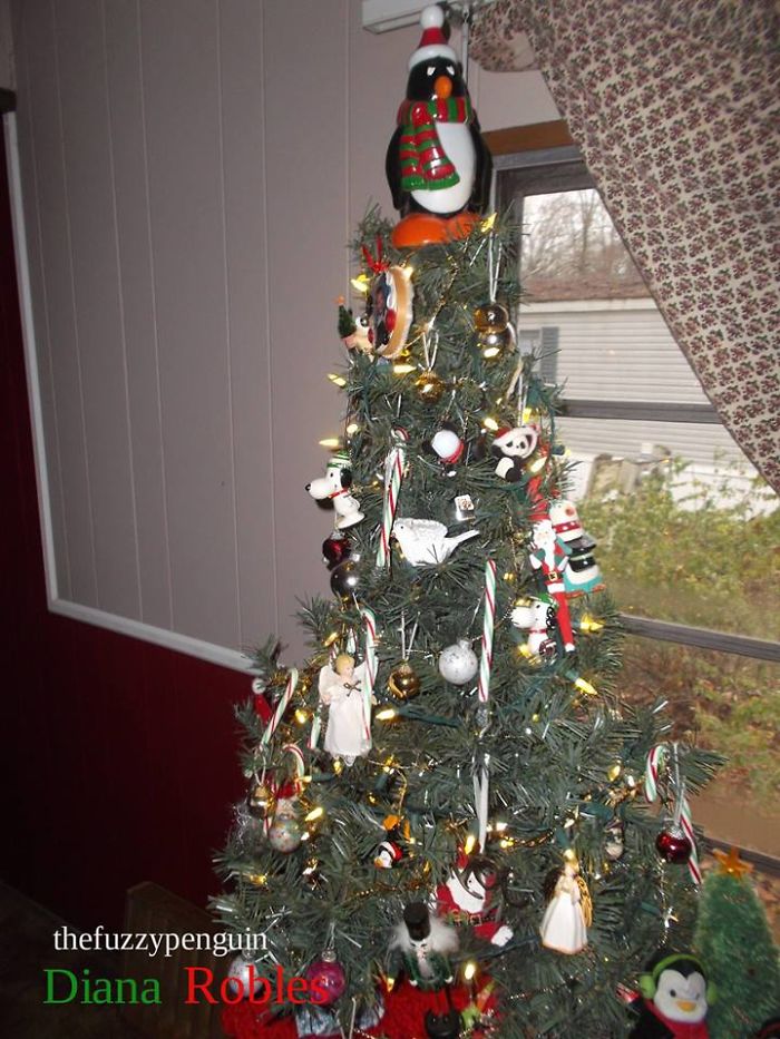 A Penguin Christmas!