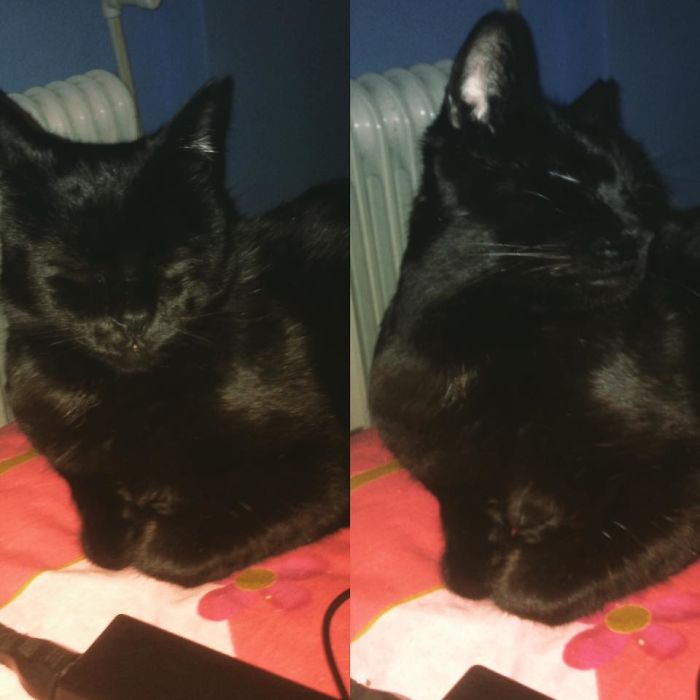 Before And After Being Called Good Boy (too Proud To Make It Show)