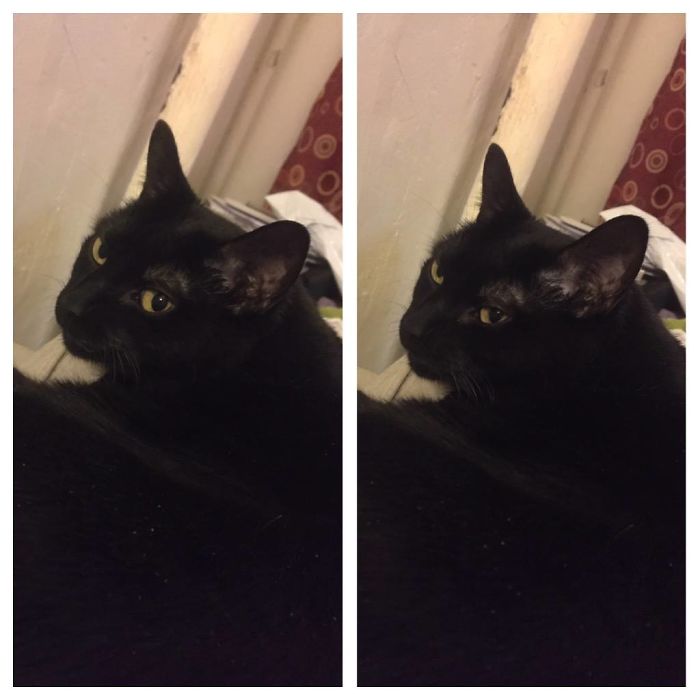 Rosalind's Before On The Left