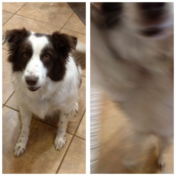 Addie Before And After "good Girl"