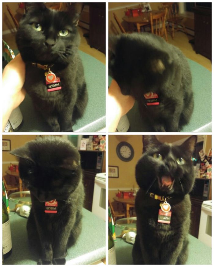 Being Told She Is A Good Girl Twice. She Loves It :)