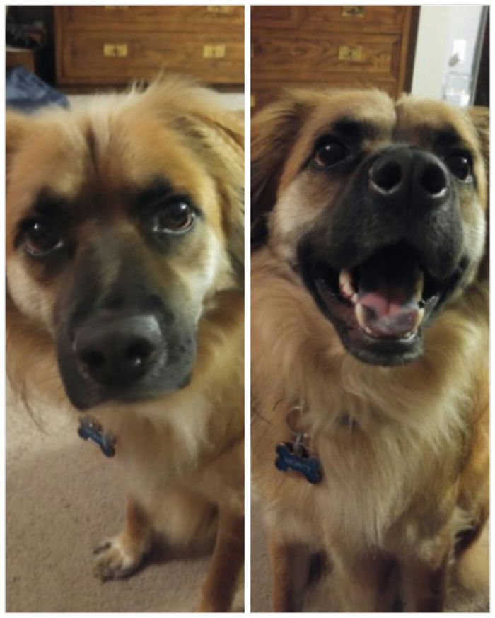 Who's A Good Boy? Monty Is!