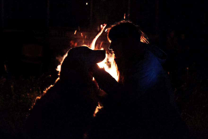 I Travel Romania With My Golden Retriever Geena Who Is The Best Travel Companion I Travel Romania With My Golden Retriever Geena Who Is The Best Travel Companion