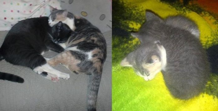 Mel Brooks & Madeline Kahn (aka Mimi) Now Vs Then