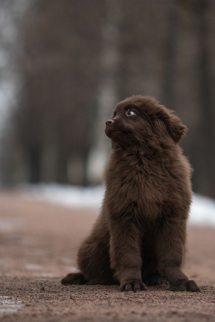 Before & After Being Called A Good Girl