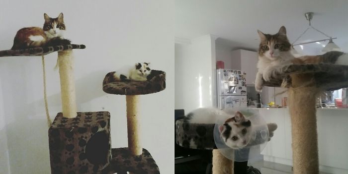 Sushi & Kimba 7 Months Apart