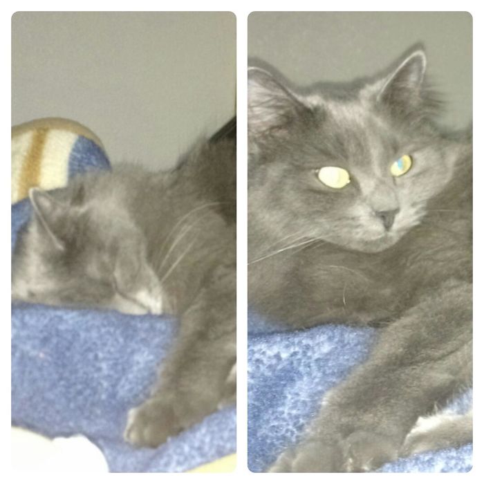 Before And After Being Called A Good Girl. " Really!? Leave Me Alone"