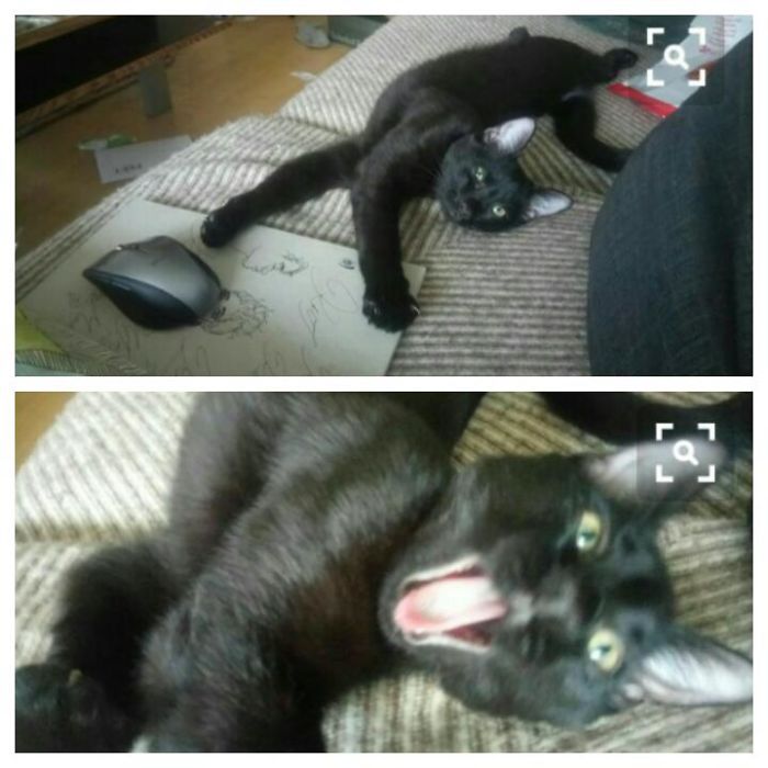 Before And After Beibg Called A Good Boy