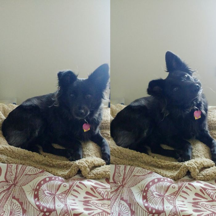 She Knows She's A Good Girl