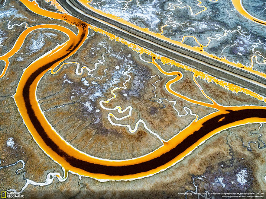 Second Place Winner, Environmental Issues: The View Outside Facebook Hq, California