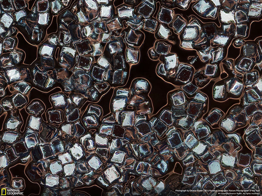 Third Place Winner, Environmental Issues: Toxic Vanity, United Kingdom