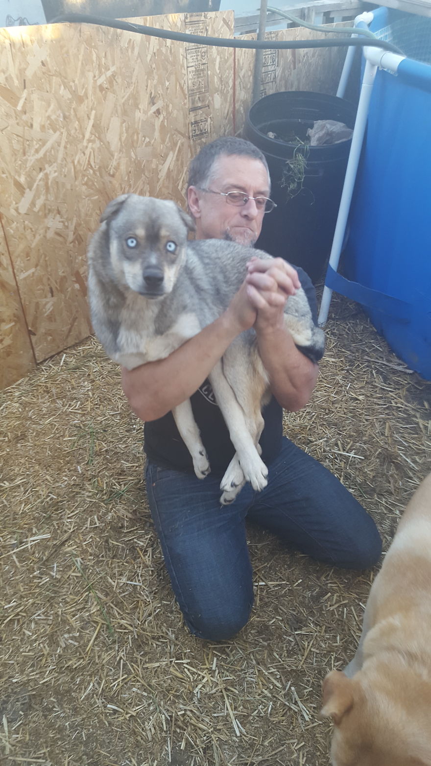 I Rescue Exotic Animal Species