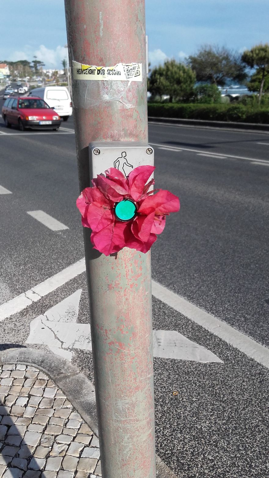 Street Artist Brings Nature Back To Cities