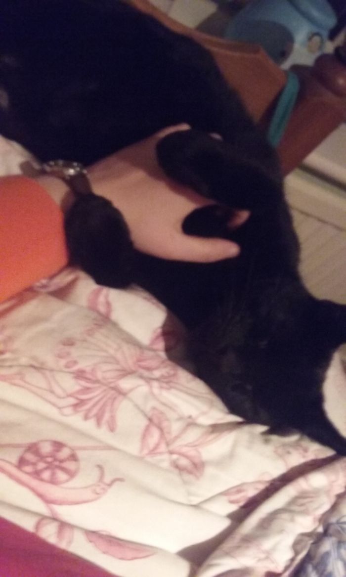 After Being Called A Cute Kitty!