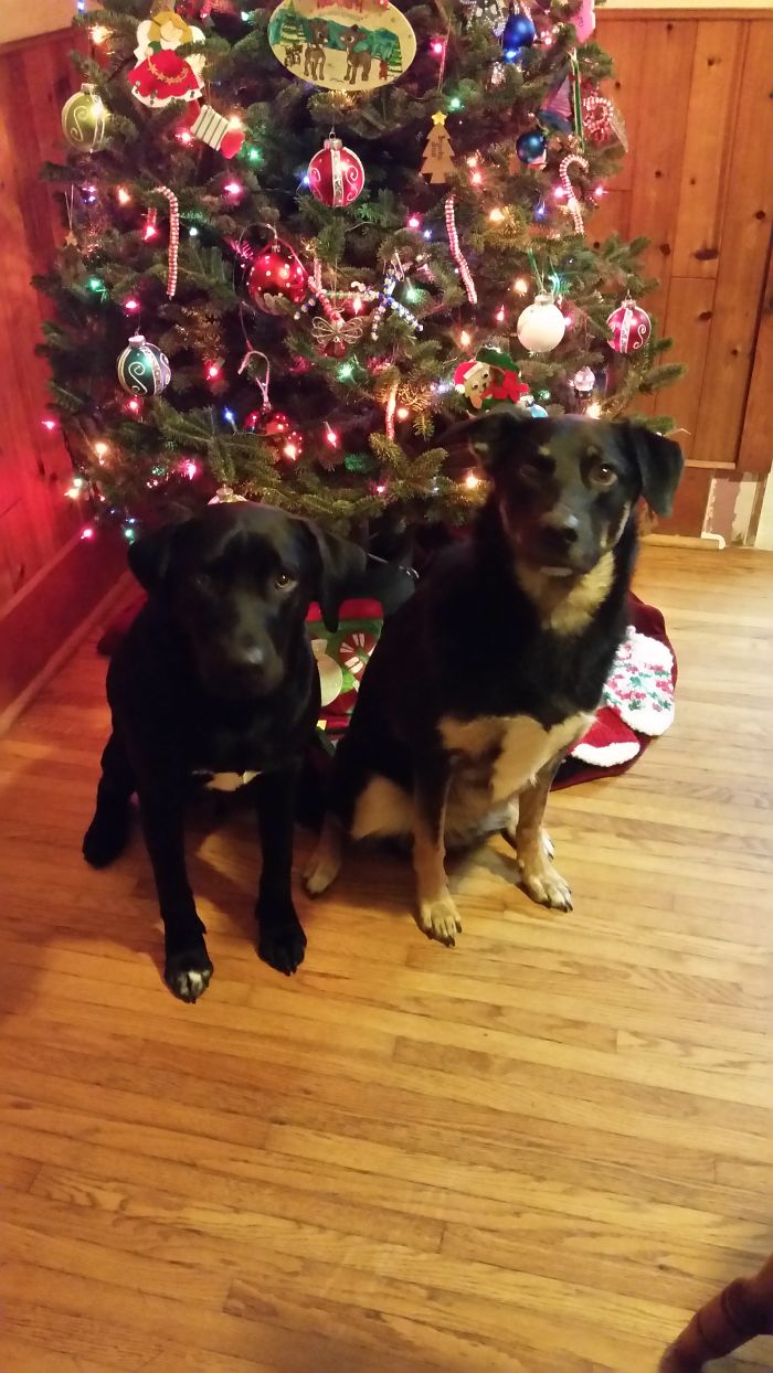 Mom Made Me Sit Beside Him