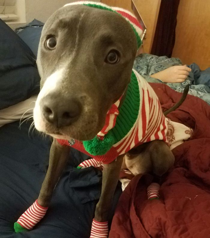 I Don't Care How Cute You Think I Look; This Is Embarrassing.