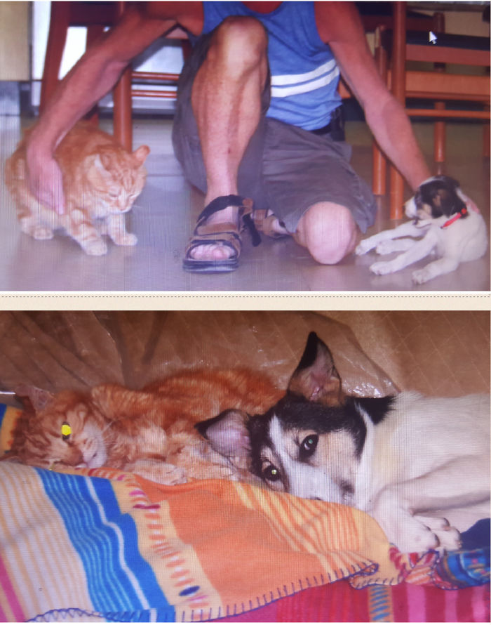 Sweet Beni And Liri Then And Now