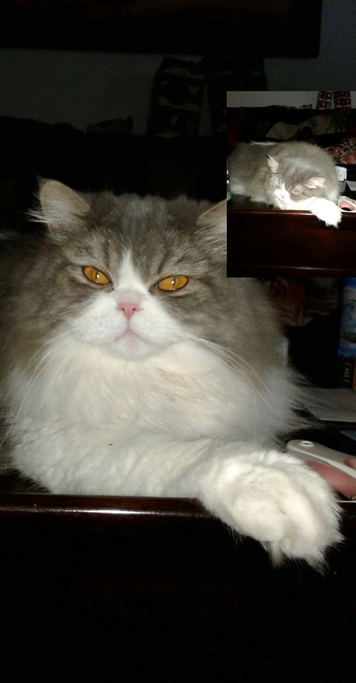 Before Good Girl And After