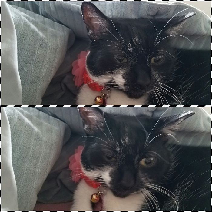 Before And After Being Called Good Girl