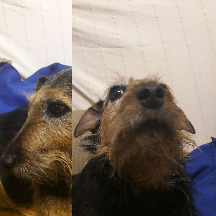 Befora And After Being Called A Good Girl