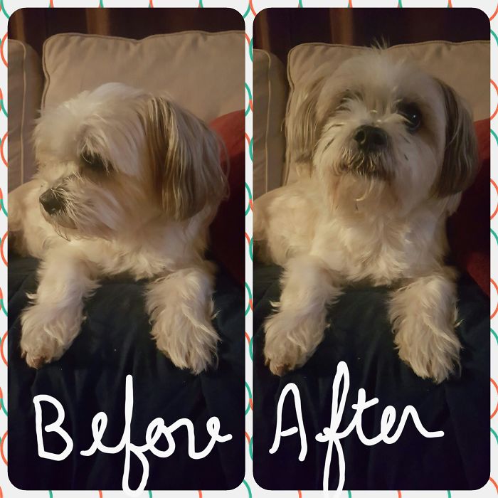 Jeter Before And After Being Told He's A Good Boy!