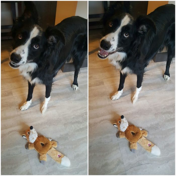 Bender Before And After Being Told "good Boy"